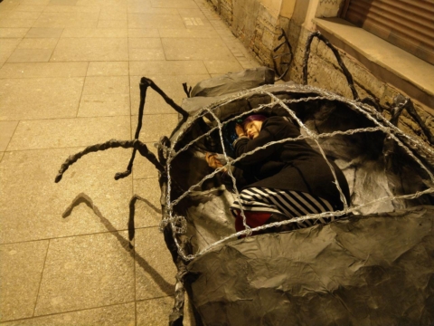 Fox Larsson inside Insect